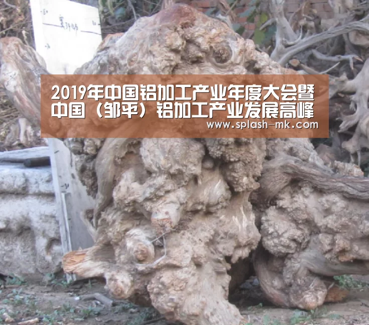 2019年中国铝加工产业年度大会暨中国(邹平)铝加工产业发展高峰论坛”在山东邹平召开‘mk体育官网’(图2) mk体育官网