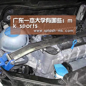 mk体育平台