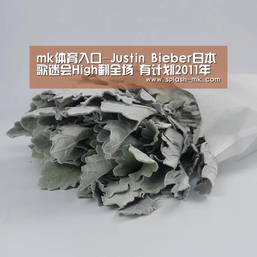 mk体育入口-Justin Bieber日本歌迷会High翻全场  有计划201